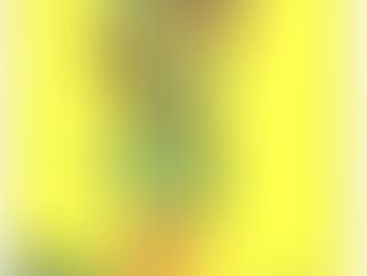 Günün Tarot Kartı - 24/07/24