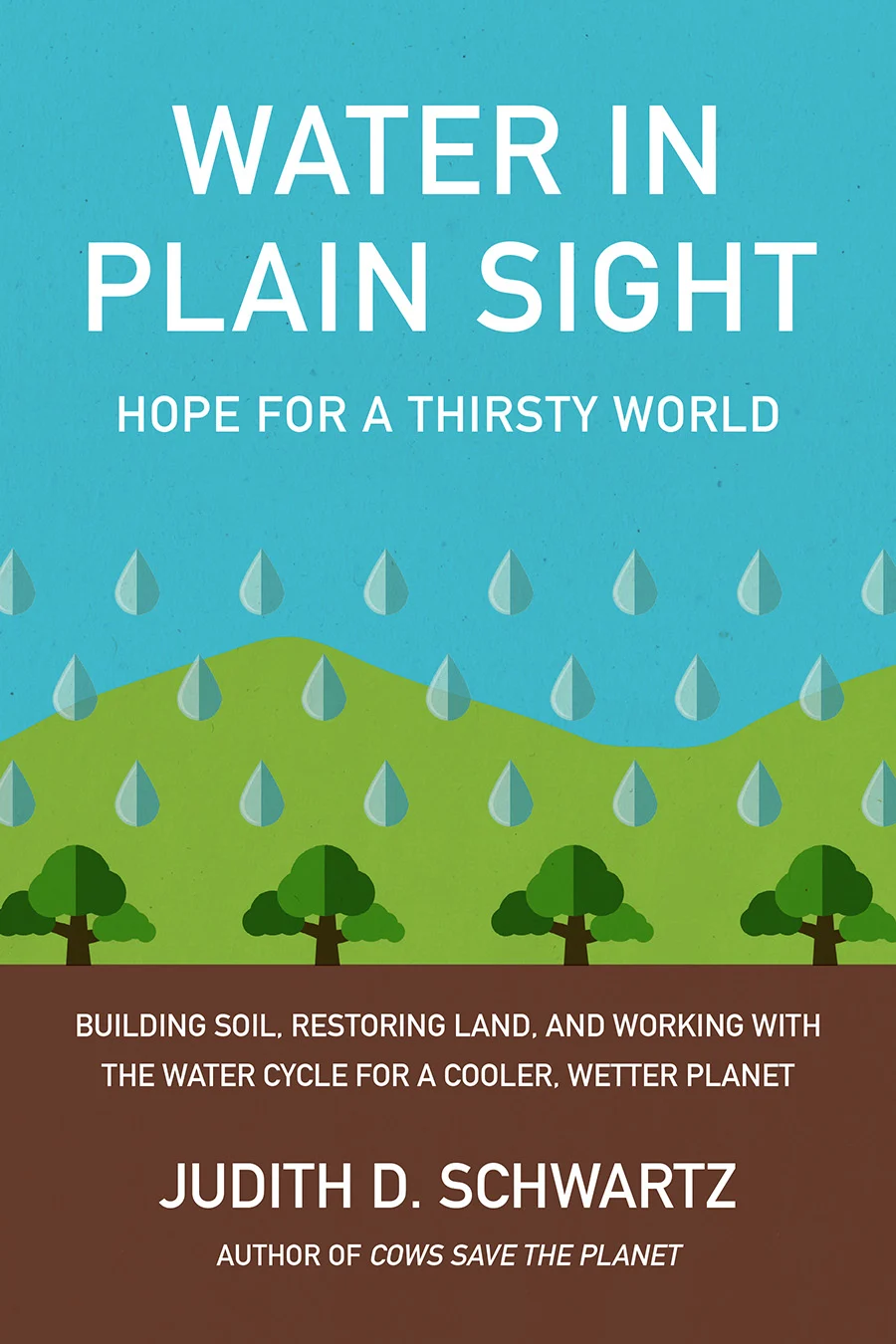 water in plain sight book by JS.webp