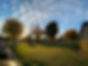 IMG_0200.jpeg