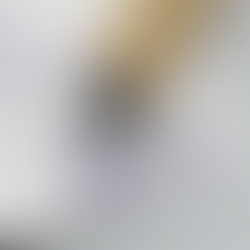 Marketing flyer and informational layout.