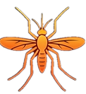 1787358342053(2).png