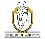Design sem nome (2).png
