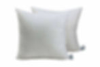 Cushion Fillers (set of Two)