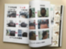 ムウム資料