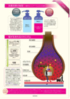 ムウムシャンプー理論説明 髪が生まれるメカニズム