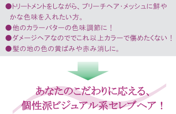 VisualAccent_Application.gif