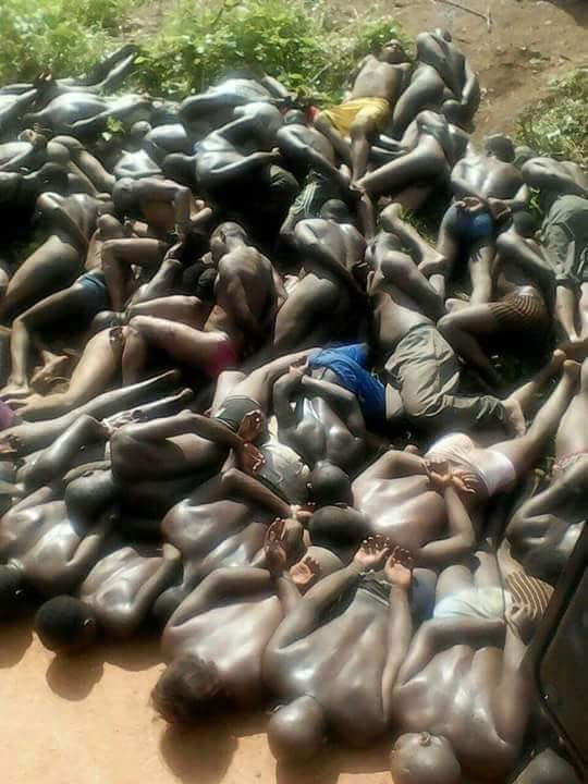 A group of Rwenzururu gaurd s that were shot dead in Kasese