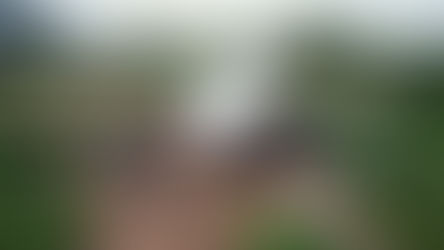 Deepfake AI-generated scene of villagers in northern Uganda working together to clear mud from around a stranded airplane.