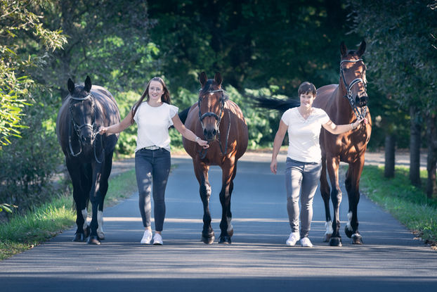 Stefanie Dornik Photography - Pferdefotografie