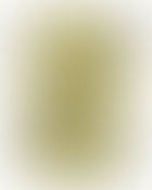 EPAA Newsletter - July 2023