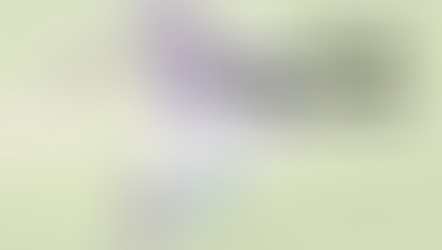 NFL DFS: Week 17 Review (DraftKings)