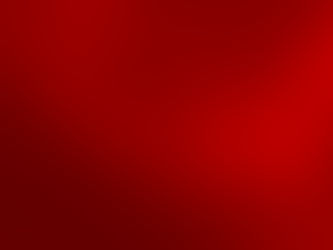 The Root Chakra