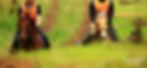 DRNZ Waiuku2(413)_edited.jpg