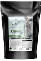 EE_Focus 3D_no background copy.png