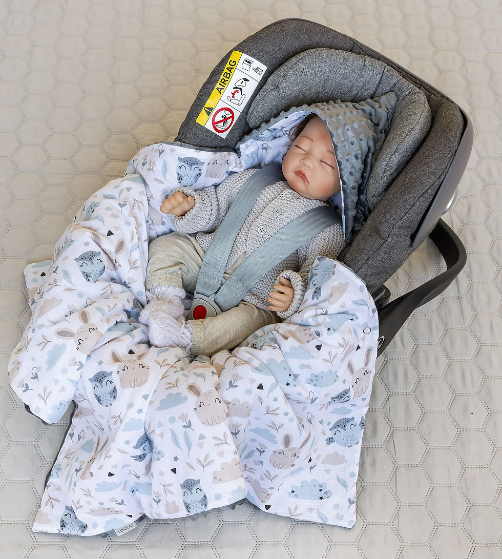Miniaturbild: Grau MINKY/ HASE Eule Weiss Baumwolle Bababydecke oder Einschlagdecke für Kinder Autositz und Babyschale für Maxi-Cosi, Röm