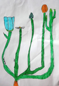 Pacôme CM2 Orléans