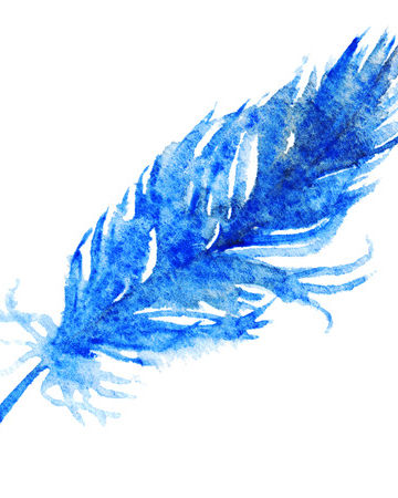 plume bleue.jpg