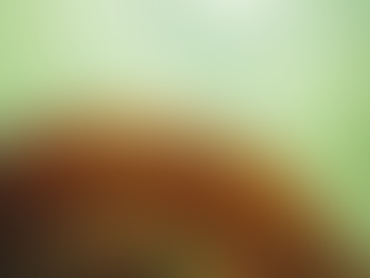 "Kasyno Życia" dostępne w kolejnej księgarni!