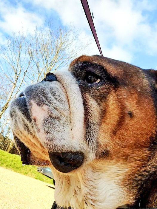 44a5f589-6751-4cf5-8d80-1353c309fd95