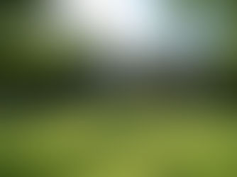 Crafted for a Lifetime: Crystal Solana อาณาจักรบ้านหรู ในกรุงเทพฯ