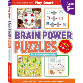 Brain Power Puzzles for Budding Geniuses