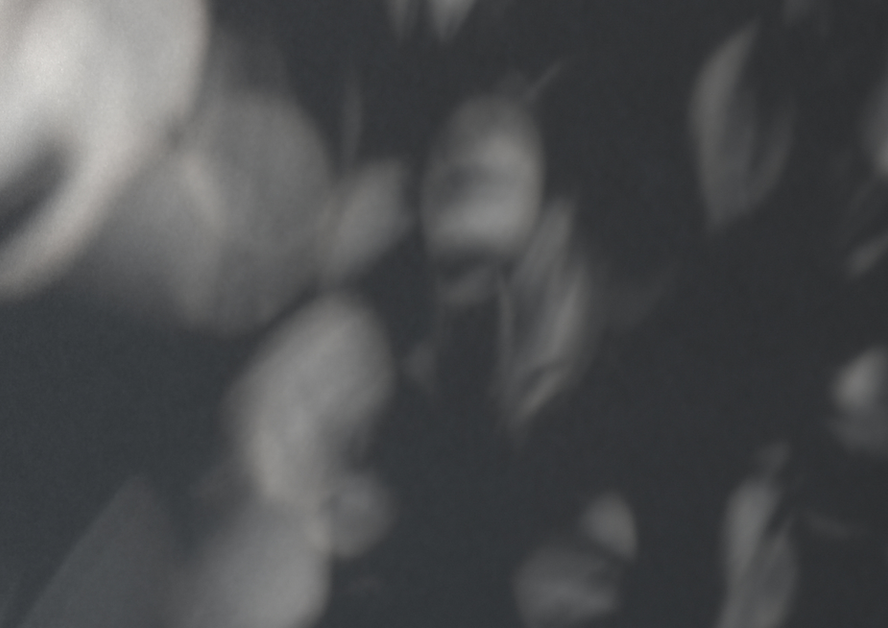 bilder.com.png