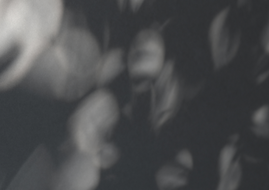 bilder.com.png