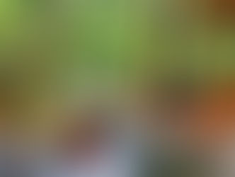 Soaking in the jungle views in our private hot tub at La Carolina Lodge