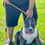 Thumbnail: American Bully Stud Services -  Midas, ABKC & UKC.