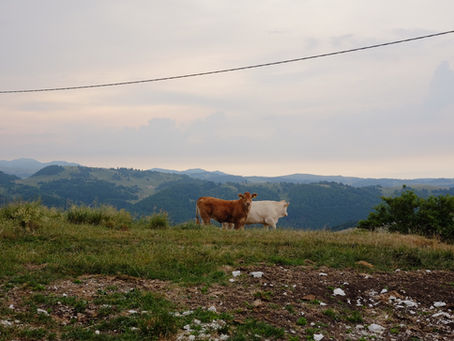 Fine settimana in Lessinia