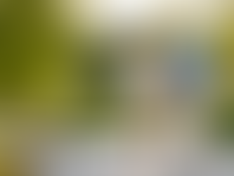 Elegant midlife woman with a continuous glucose monitor enjoying a peaceful walk through a botanical garden, representing safe daily movement, independence, and living well with diabetes.