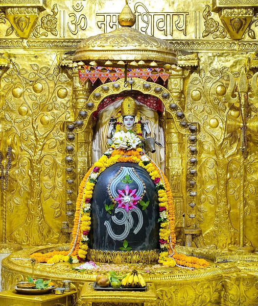 WhatsApp Image 2025-09-27 at 11.31.42_30a2a614.jpg