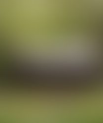 Kupetaitė - poilsio namelis gamtoje dviems