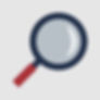 Oversight