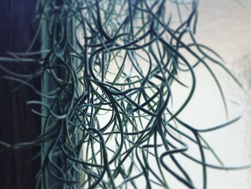 個性に合わせて