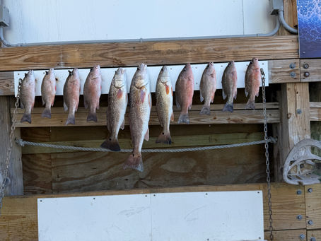 Fall Fishing Trips: Catch Redfish and Trout in Cooler Weather