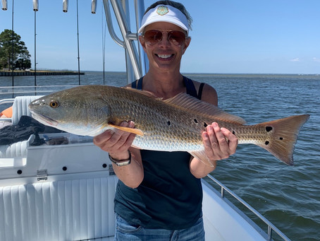 Great 4hrs fishing trip!!