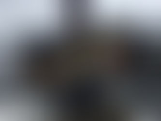 Inshore fishing trip.
Great redfish caught at the destin bridge!!