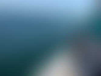 Another banner day fishing out of destin at the west jetty.