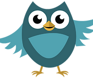 owl-color.png