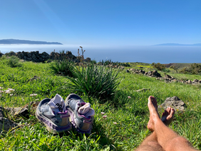 COME VIAGGIARE LOW COST E GRATIS: La guida di viaggio al risparmio