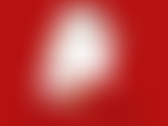 Összegzés - fogadó szervezet keresése