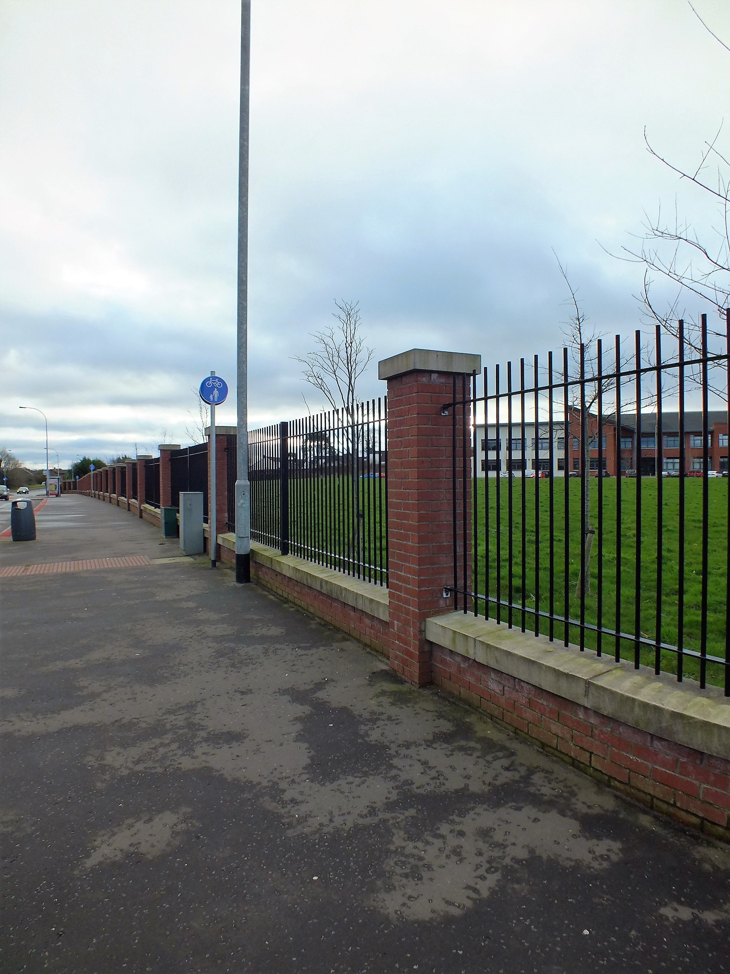 Boundary wall & railings