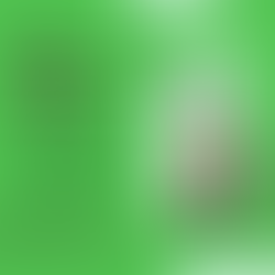 Hanna Wojciechowska: Gwiazda Rekrutacji, Wir Organizacji i Pasywna Globtroterka!