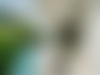 Top Reasons to Buy Property in Lombok