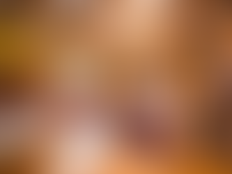 Top Bed & Breakfasts for a Island Adventure in Vancouver