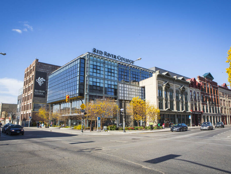 Art of Logo Design for Local Brands