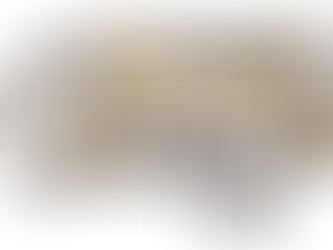 Crafting Visions with Precision Renderings