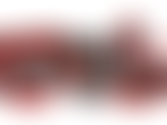 Boost Engine Power with Euro-filters