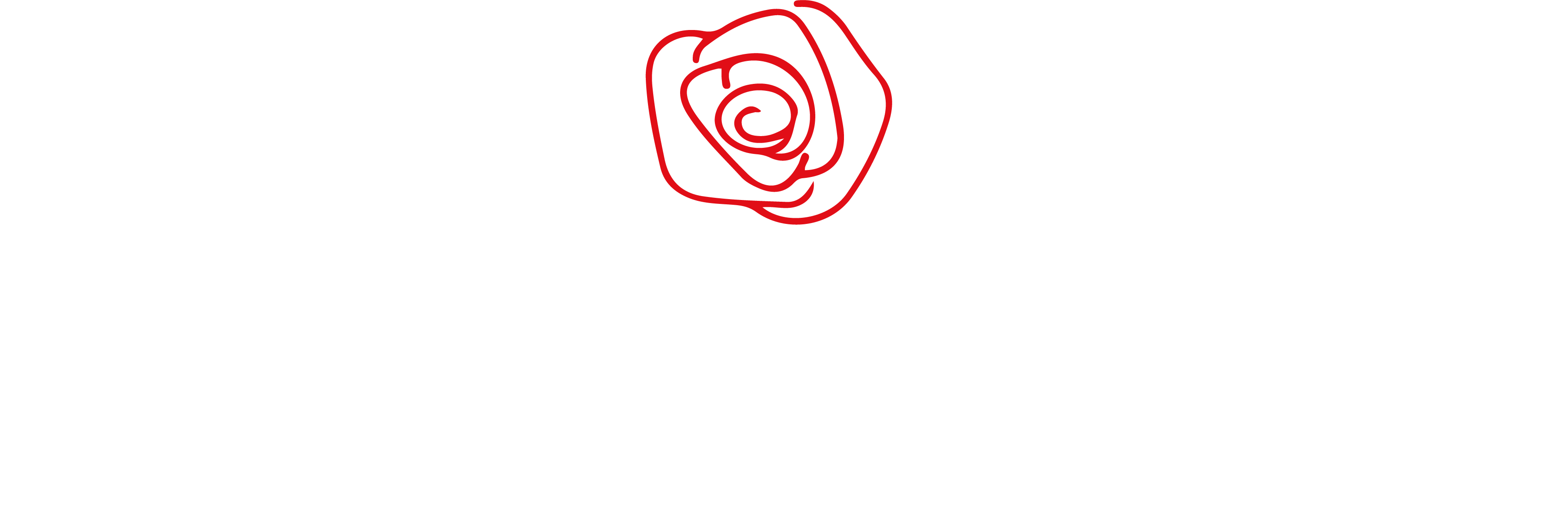 derosa immobili logo